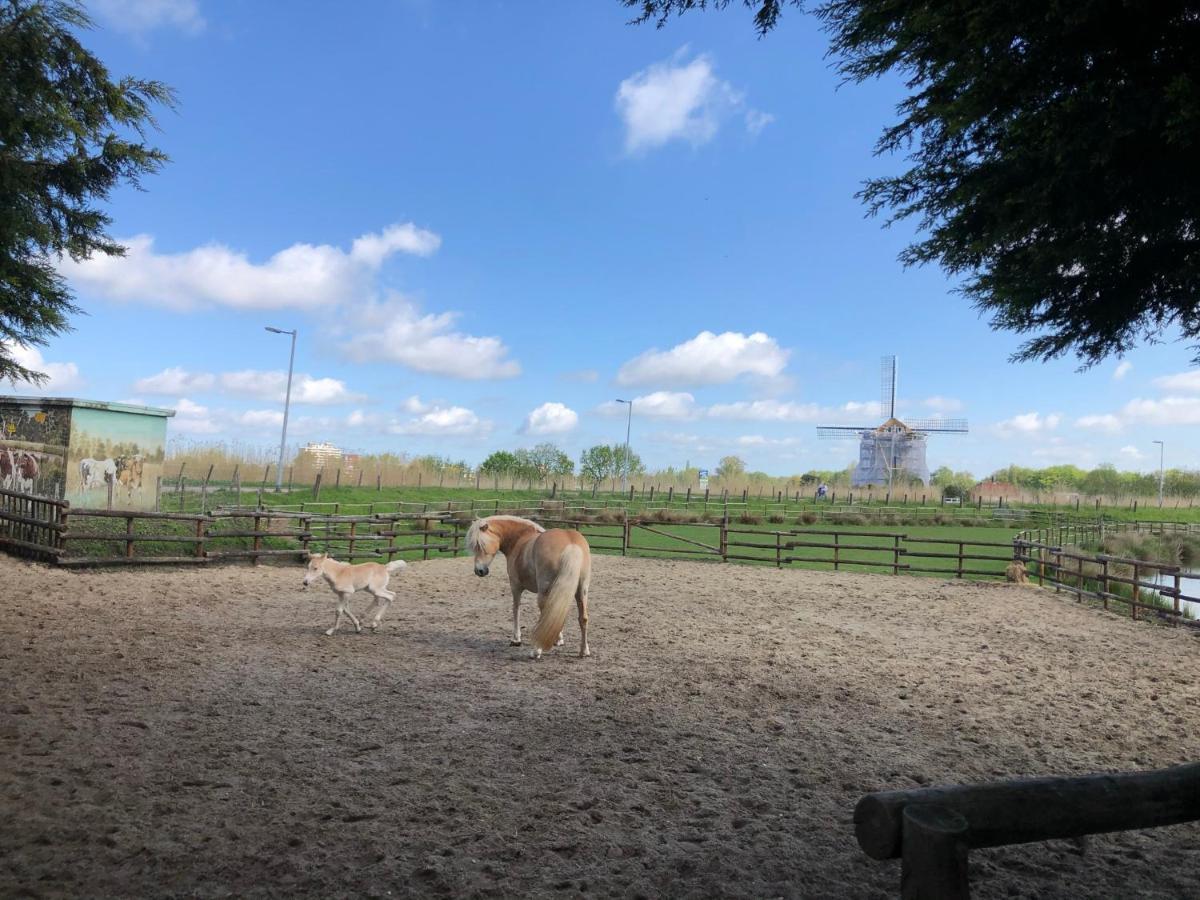 Chalet Aan De Rotte รอตเตอร์ดัม ภายนอก รูปภาพ