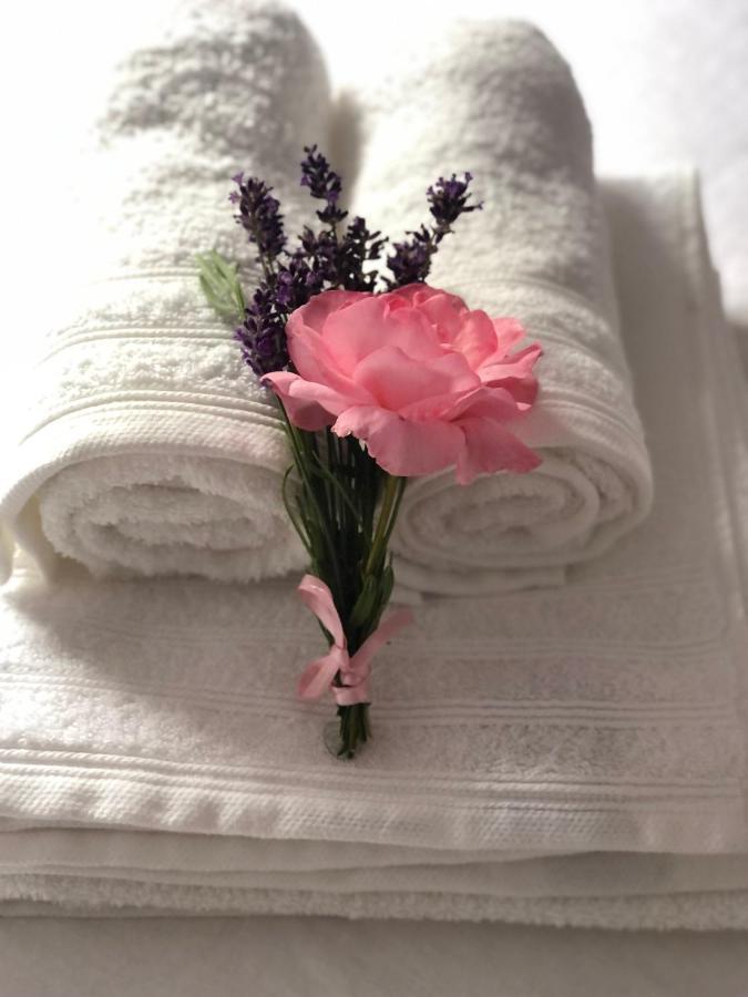 Chalet Aan De Rotte รอตเตอร์ดัม ภายนอก รูปภาพ